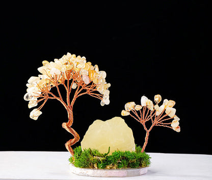 Colorful Small Flower Tree